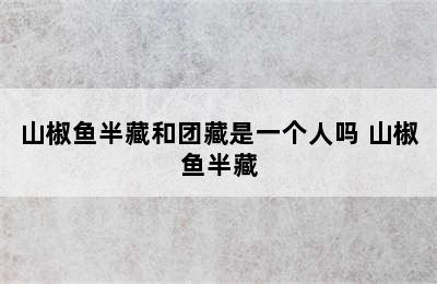 山椒鱼半藏和团藏是一个人吗 山椒鱼半藏